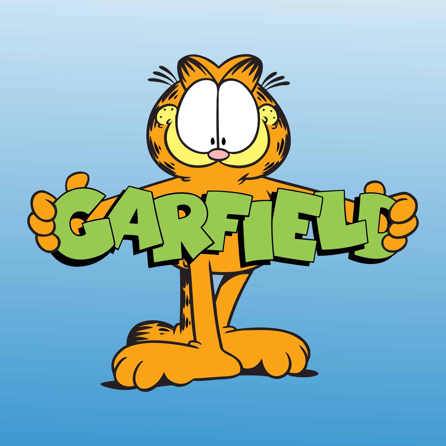 Garfield Cat 5Pk Favorite Holiday Toys
